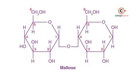 Maltose Structure: Formula, Properties, Production and Uses of ...