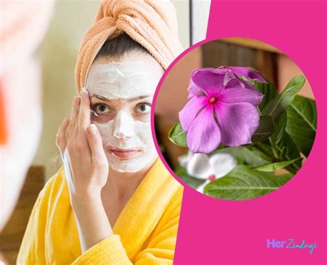 Sadabahar Flower For Pimples Problem | sadabahar flower for pimples ...