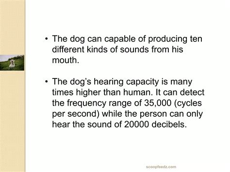 10 Lines on Dog & Interesting Facts about Dog | PPTX