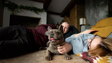 Animal Shelter Adoption Success Stories - Stark County Humane Society ...