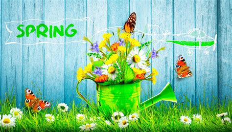 Image result for Spring Scene Cartoon