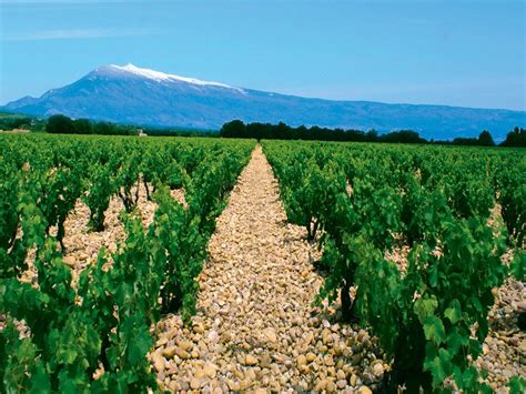 Bollene Tourism (2023): Best of Bollene, France - Tripadvisor