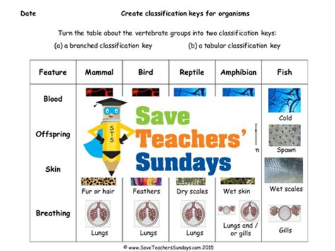 Image result for Making Classification Key KS2