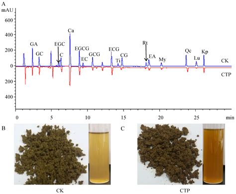 An In Vitro Catalysis of Tea Polyphenols by Polyphenol Oxidase