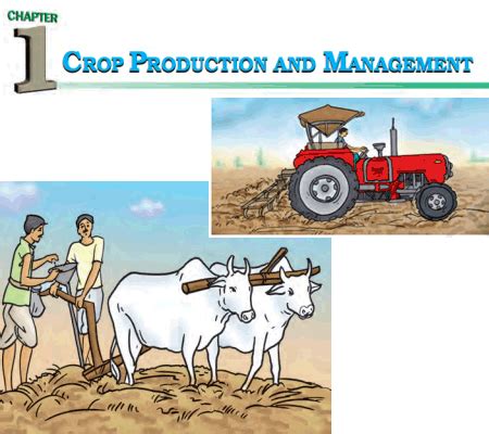 Chapter 1 CROP PRODUCTION AND MANAGEMENT