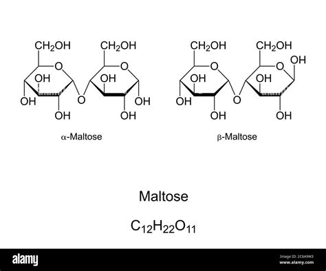 Maltose sugar molecule Black and White Stock Photos & Images - Alamy