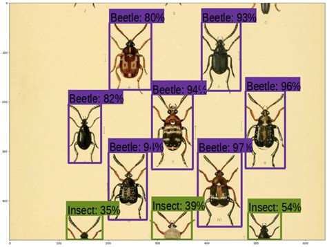 How Does Tensorflow Able to Detect Objects 的图像结果