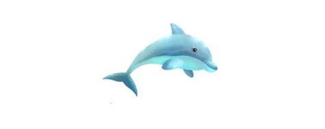 海豚的本领介绍50字作文 海豚的简单介绍50字 - 长跑生活