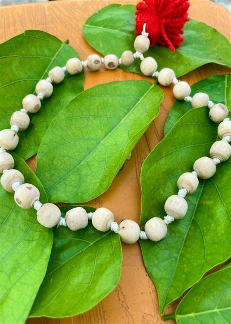 CA96F346-96B5-4339-9B10-6BBFA339CC90.jpg?v=1738422014