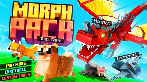 Image result for Minecraft Morph Texture Pack