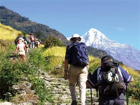 5 Days Easy Annapurna Base Camp Trek - Klook India
