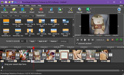 PhotoStage Slideshow Tutorial 的图像结果