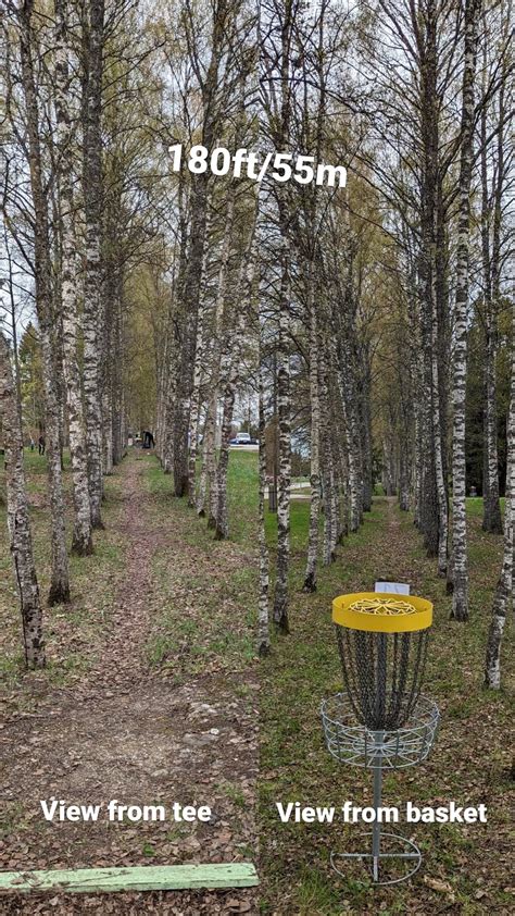 180ft/55m dead-straight tunnel shot, what are you throwing? : r/discgolf