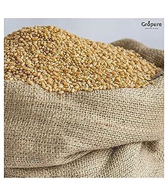 ORGANIC Wheat Whole Premium (Sabut Gehu/Gehoo/Genhu) Godhumai Godhambu ...