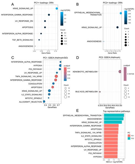 A Single-Nucleus Transcriptomic Atlas of Human Supernumerary Tooth Pulp ...