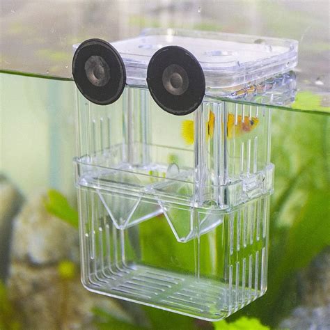 Senzeal Aquarium Fish Breeder Box Plastic Fish India | Ubuy