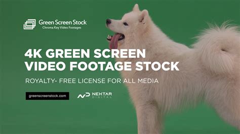 Green screen Footage 的图像结果