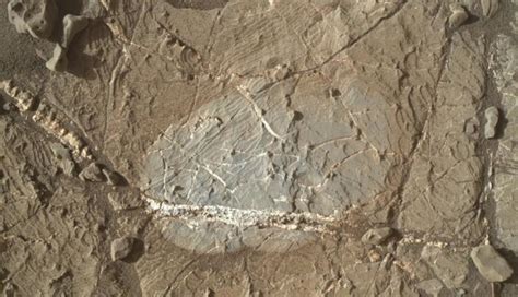 Mars rover discovers tiny crystal-shaped features - IBTimes India