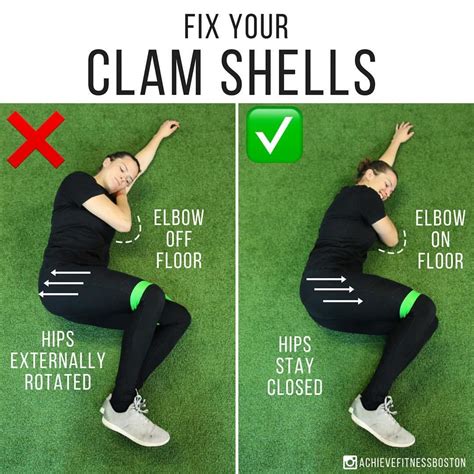 Image result for Clamshell Exercise