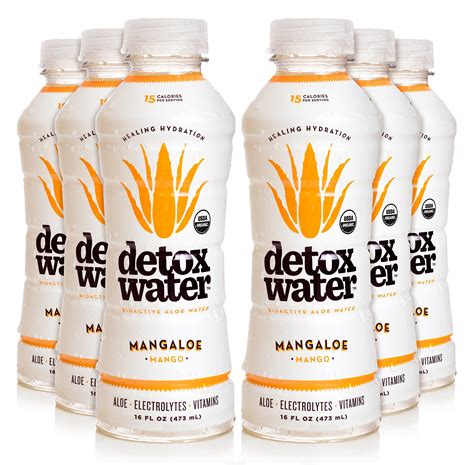 Detoxwater Prebiotic Aloe Water Mangaloe Mango 16 Fluid Ounces Pack ...