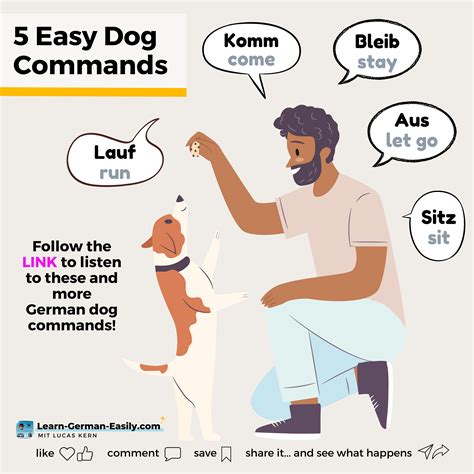 Commands rules – Artofit