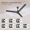 Polycab Wizzy Plus LED 1200mm BLDC Ceiling Fan with Remote |BEE 5 Star ...