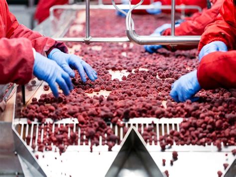 Good Practices: Good Manufacturing Practices (GMP), Good Laboratory ...