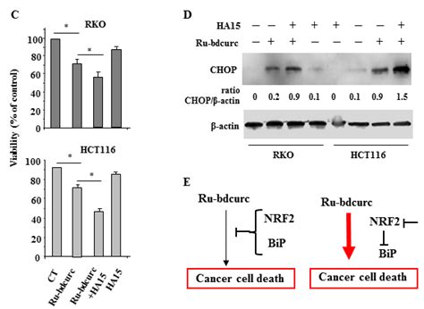 NRF2 and Bip Interconnection Mediates Resistance to the Organometallic ...