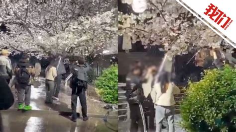 杭州一网红团队为拍摄肆意摇晃樱花树 官方：将加装告示牌 加强巡逻劝阻_腾讯视频