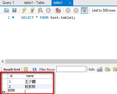 MariaDB with Java 的图像结果