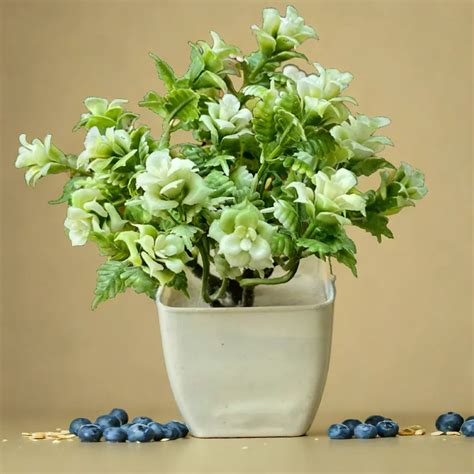 Artificial Plant White – Plant Orbit