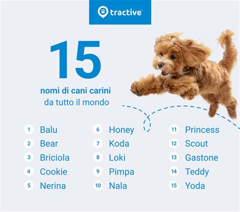 I nomi di cani più popolari in Italia e nel mondo - Tractive