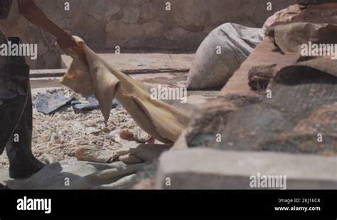 Image result for Leather Making Process