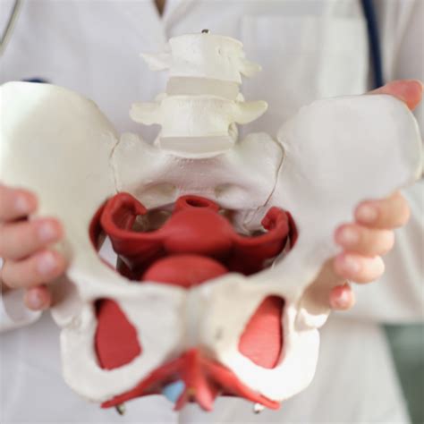 Arthroscopy | Joint Replacement | Robotic Knee Replacement