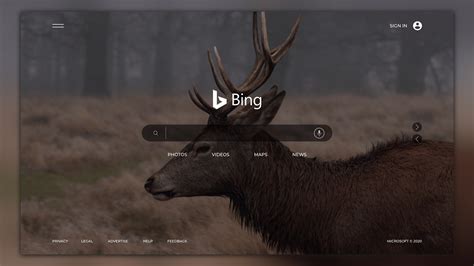 Http Bing 的图像结果