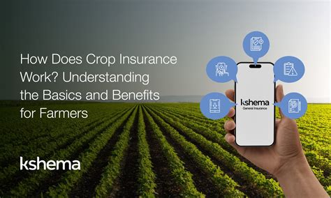 Crop Insurance MathWorks 的图像结果