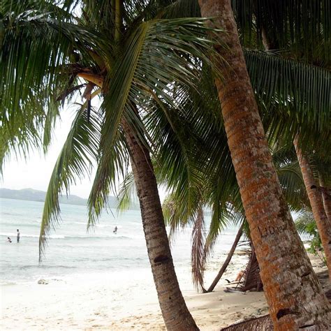 SECRET BEACH SIARGAO - All You Need to Know BEFORE You Go 2026 (with ...