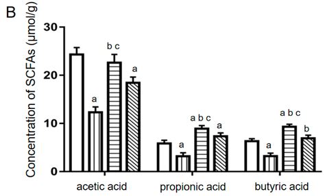 Berberine-Based Carbon Quantum Dots Improve Intestinal Barrier Injury ...