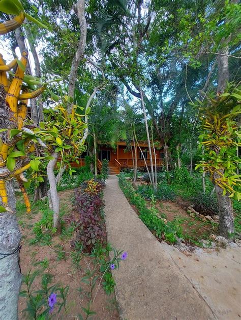 INN OF LAST RESORT (Roatan, Bay Islands) - Guesthouse Reviews & Photos ...