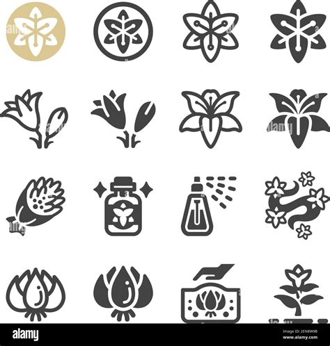 lily Blume Icon Set, Vektor und Illustration Stock-Vektorgrafik - Alamy