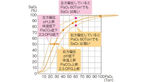 PaO2とSaO2の評価方法は？ | 看護roo![カンゴルー]