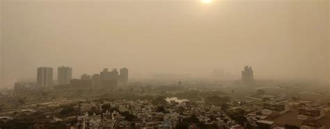 Nutrients that Help Reduce Harmful Effects of Air Pollution