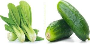 xcentax Cucumber, PAK CHOI Seed Price in India - Buy xcentax Cucumber ...