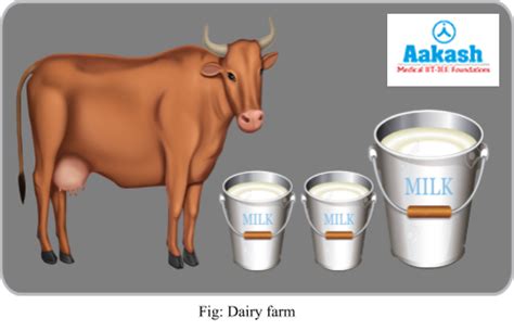 What is Animal Husbandry, Meaning, Department & Branches | AESL