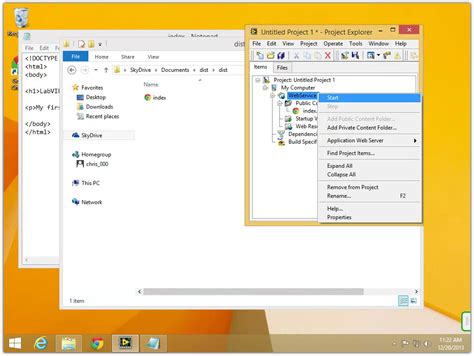 LabVIEW Web Server 的图像结果