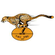 Free State Cheetahs 47 - 31 Golden Lions - Match Report & Highlights