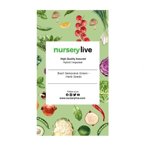 Buy Basil Genovese Green - Herb Seeds online from Nurserylive at lowest ...