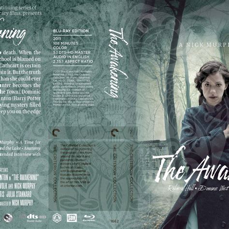 Image result for Fake Criterion