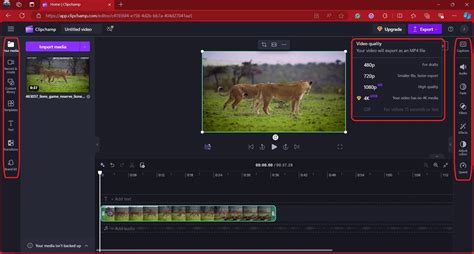 Movie Maker in Windows 11: Native Tools and Their Alternative