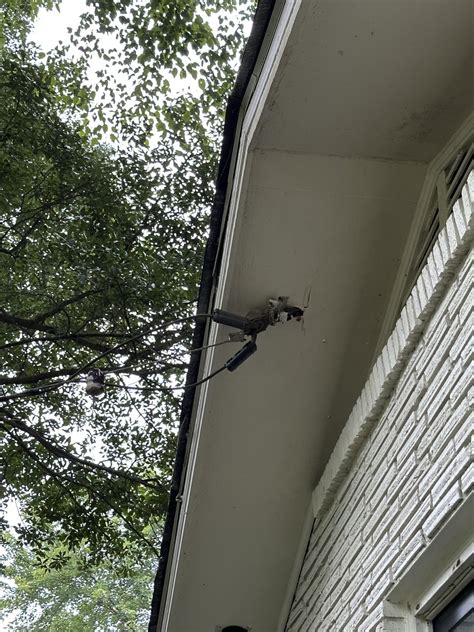 Image result for Tree Falling Hit Power Line